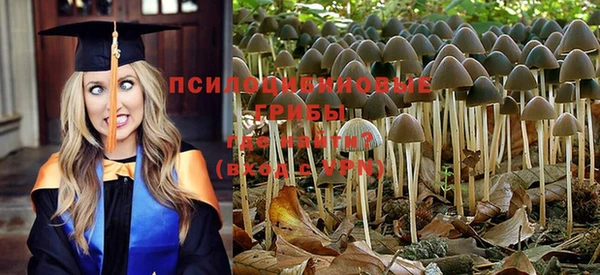 эйфоретик Абдулино