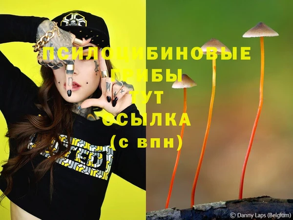 спайс Абинск