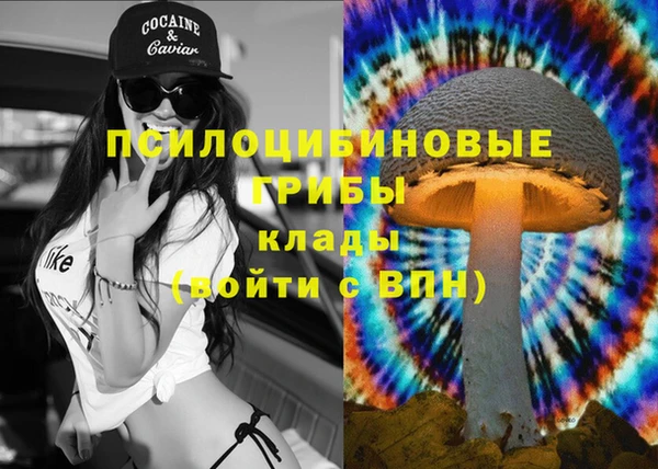 спайс Абинск