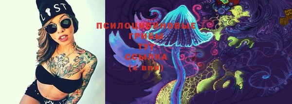 СК Абаза