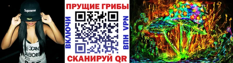 Галлюциногенные грибы Psilocybine cubensis где можно купить Ковылкино